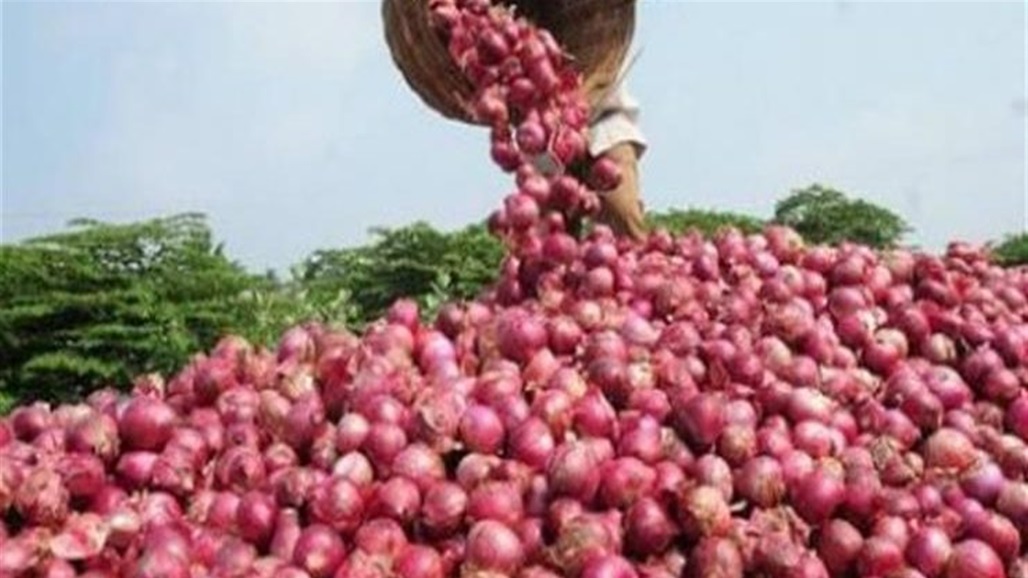 كارثة صحية جديدة... سالمونيلا في البصل