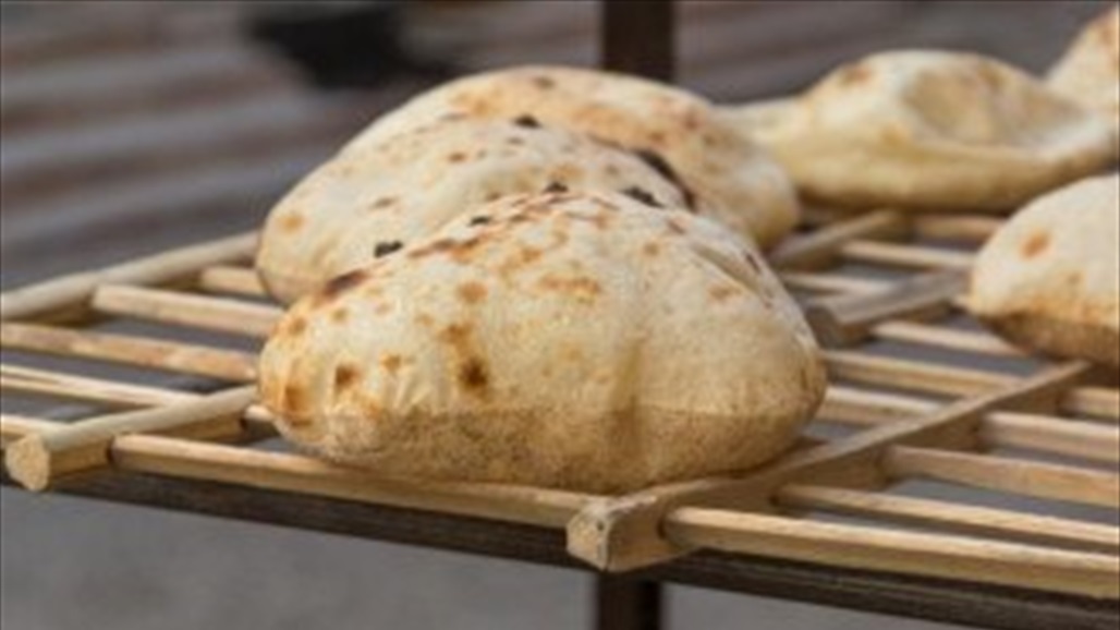 فيديو لجرذ فوق الخبز يثير الجدل في هذا البلد العربي 