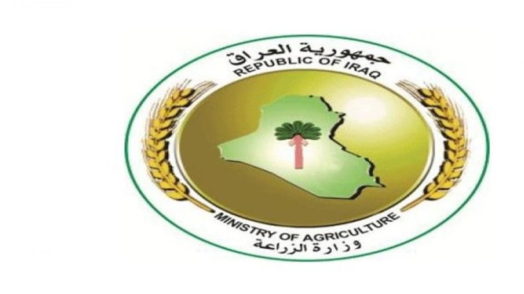 الزراعة تعلن السماح بأستيراد الذرة الصفراء 