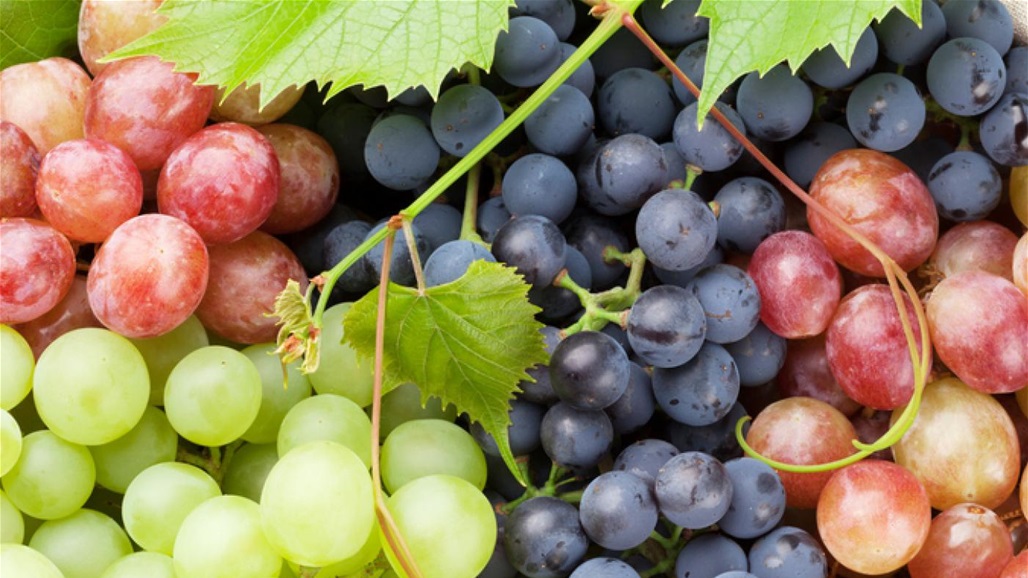 هكذا تختار العنب الجيد وهكذا تحفظه