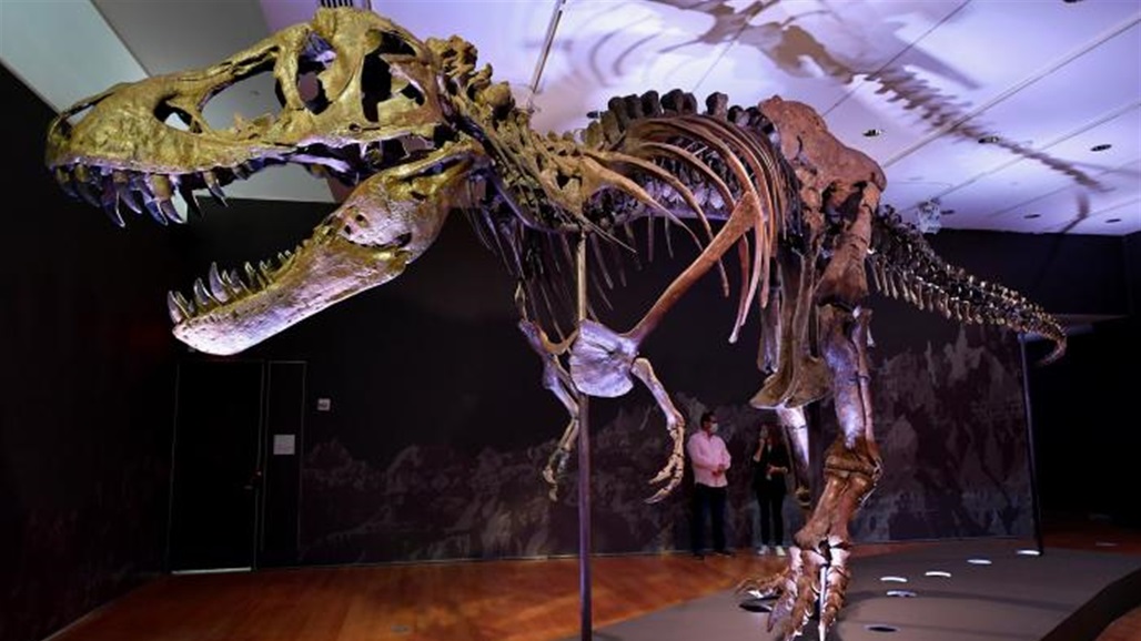 عمره 67 مليون سنة.. "ديناصور للبيع" والسعر "خيالي"!