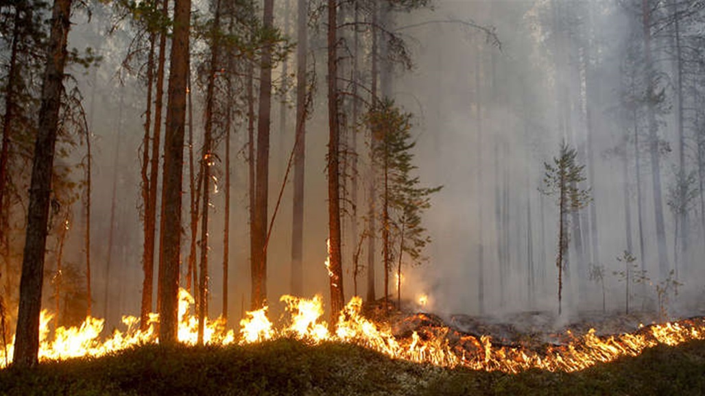  لأول مرة حرائق الغابات تطال منطقة القطب الشمالي