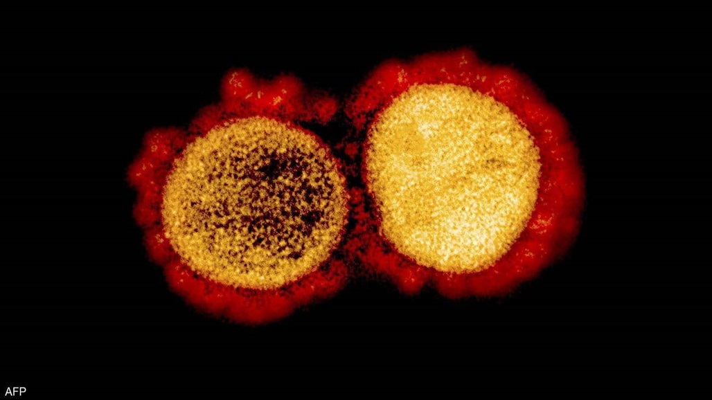 رغم مرور عام على الجائحة.. فريق يتقصى منشأ كورونا
