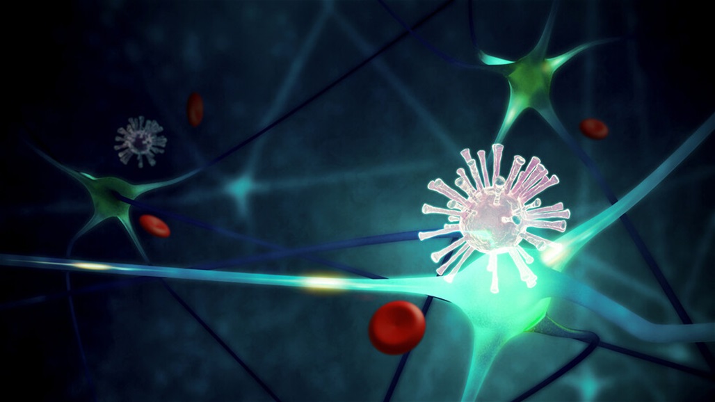 وباء جديد يجتاح البشرية... تنبؤات بيل غيتس تهز العالم!