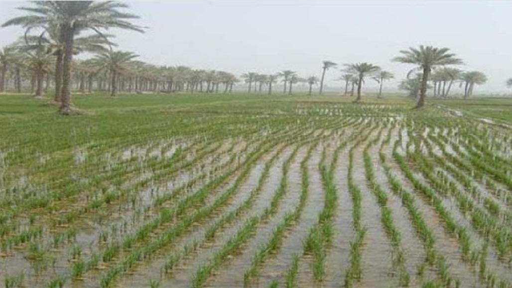 العراق يتفق مع شركات سعودية بشأن استثمار الأراضي الصحراوية