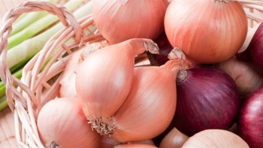 الزراعة تمنع استيراد محصول البصل... والسبب؟