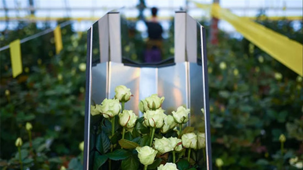 بالصور: افتتاح أكبر حديقة للأزهار النادرة في اليوم العالمي للمرأة Doc-P-375079-637507945009485220