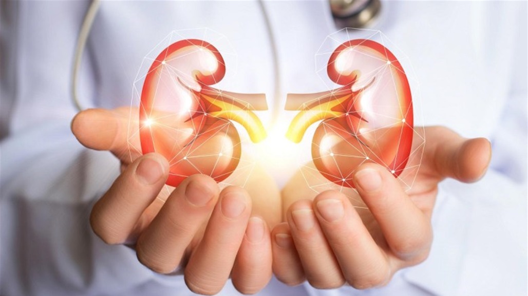 7 أطعمة "سحرية" تحمي صحة الكلى