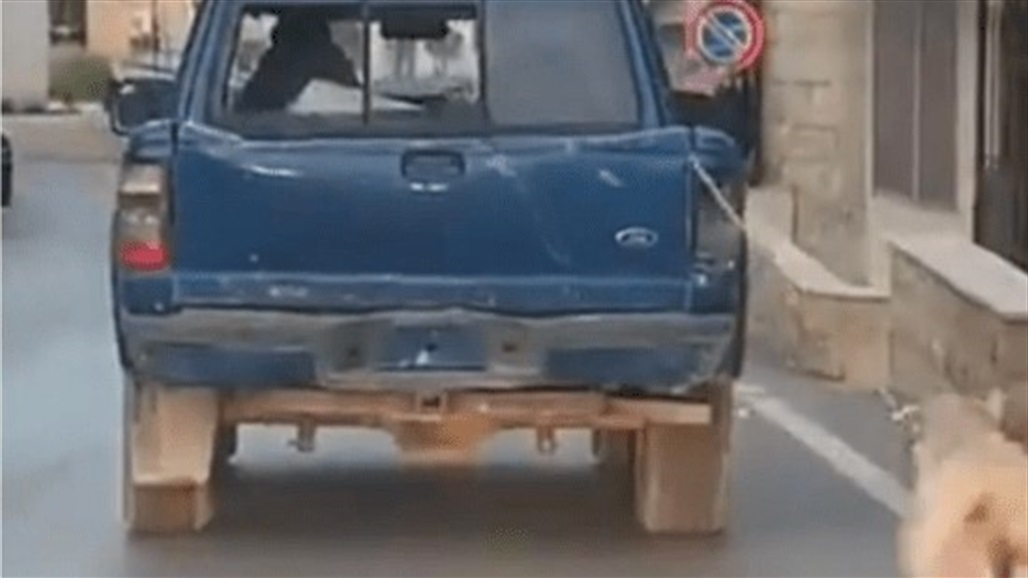 فيديو تعذيب كلب يثير الجدل في لبنان.. ما الحقيقة وراء القصة؟