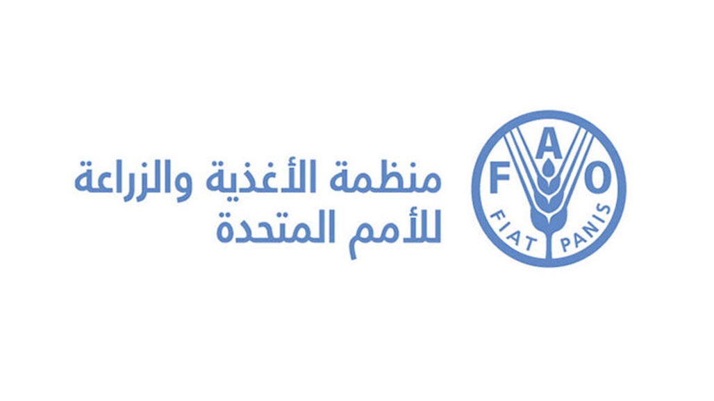 للشهر العاشر على التوالي.. ارتفاع مؤشر أسعار الغذاء العالمية