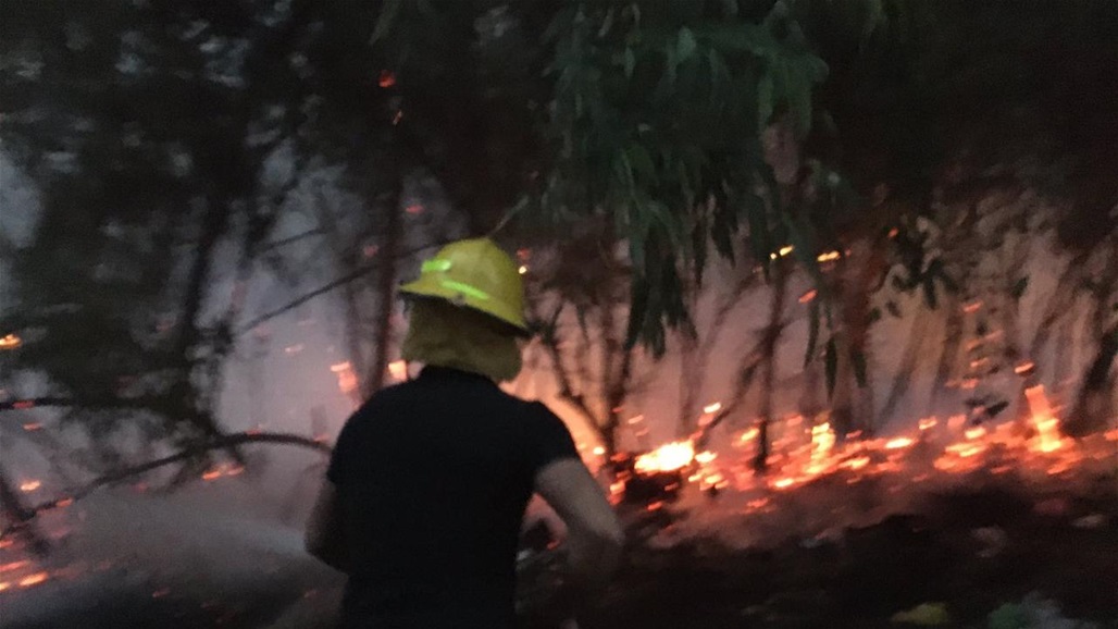 ديالى.. حريق هائل" يجتاح غابات كنعان والدفاع المدني يتدخل (صور)