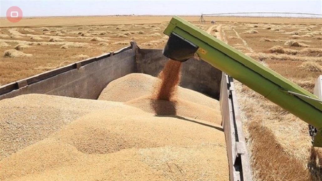 إطلاق مستحقات مسوقي الحنطة والشلب للعام الحالي