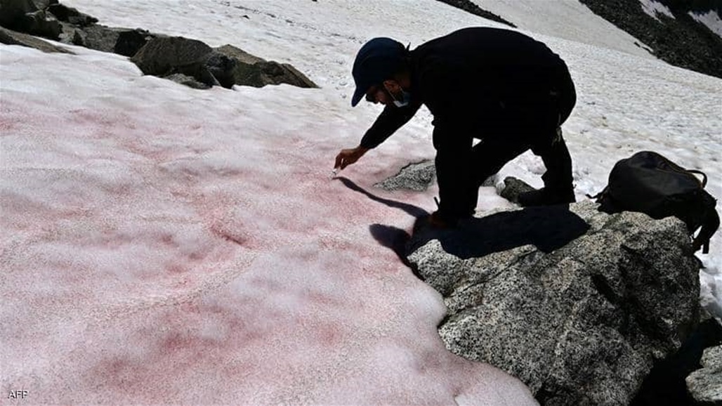 في أوروبا.. ظاهرة جديدة تثير قلق العلماء