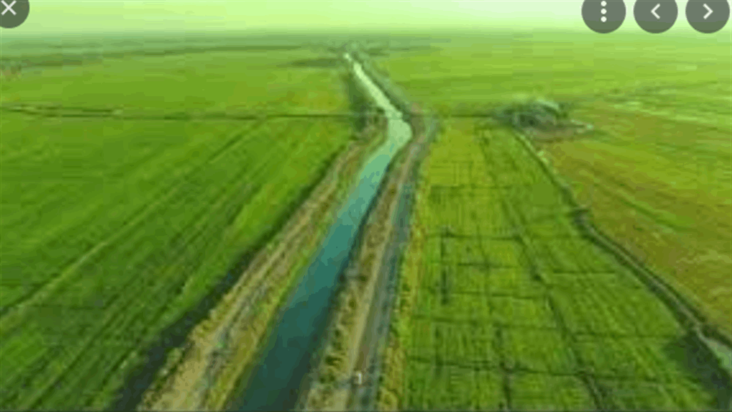 رغم خلوها من الشلب.. الزراعة تنفذ الخطة الزراعية الصيفية