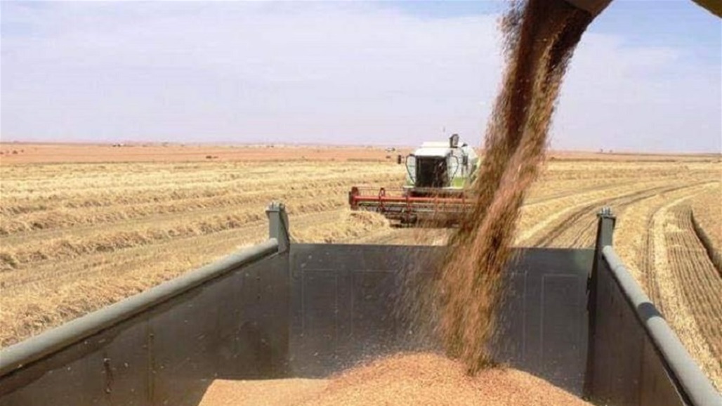 بشرى سارة للفلاحين في صلاح الدين