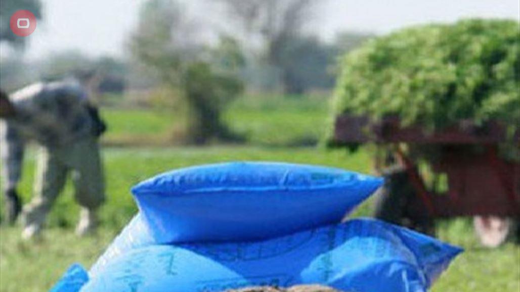 النزاهة تتقصى عن شبهات تواطؤ وفساد باستيراد الاسمدة وتوقيع عقود خارج العراق