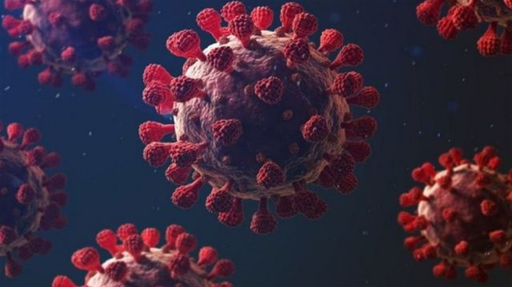 أخصائي يكشف عن انواع المناعة المتأثرة بفيروس كورونا