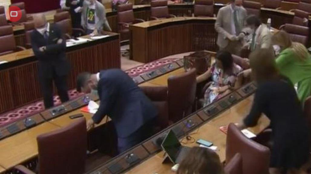 ضيف ثقيل يتسبب بفوضى وذعر داخل مجلس النواب في اسبانيا (فيديو)