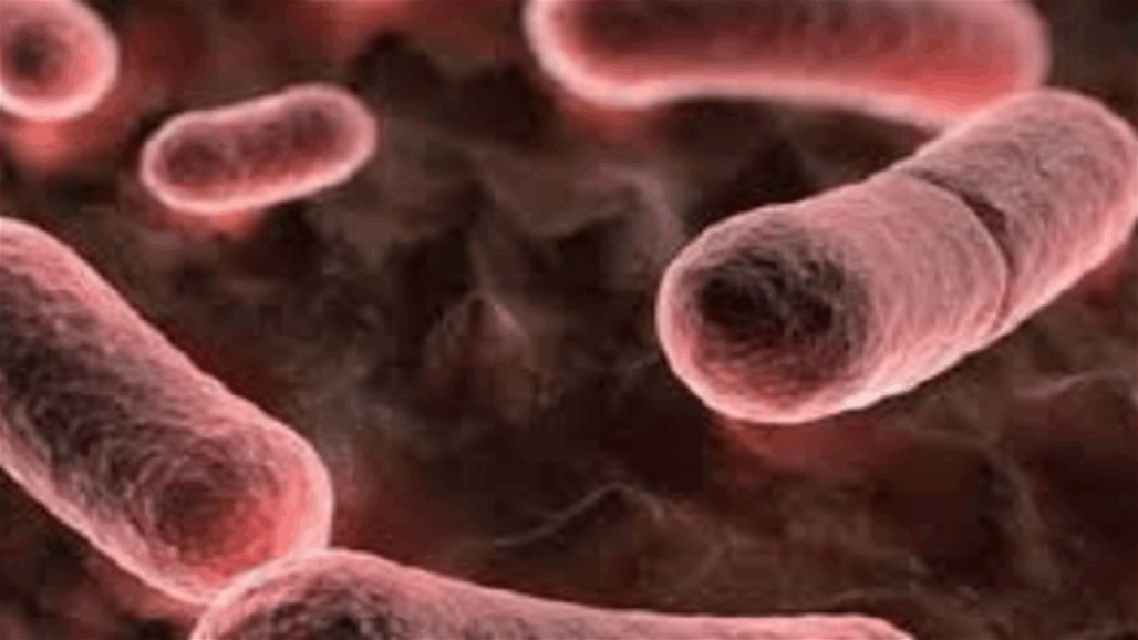 وفاة طفل امريكي بـ"الموت الاسود"