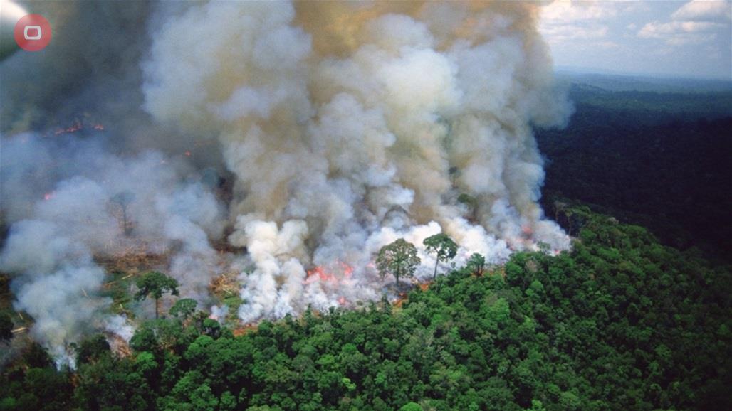 كارثة تهدد الارض بسبب احتراق مليارات الاشجار في "رئة الكوكب"