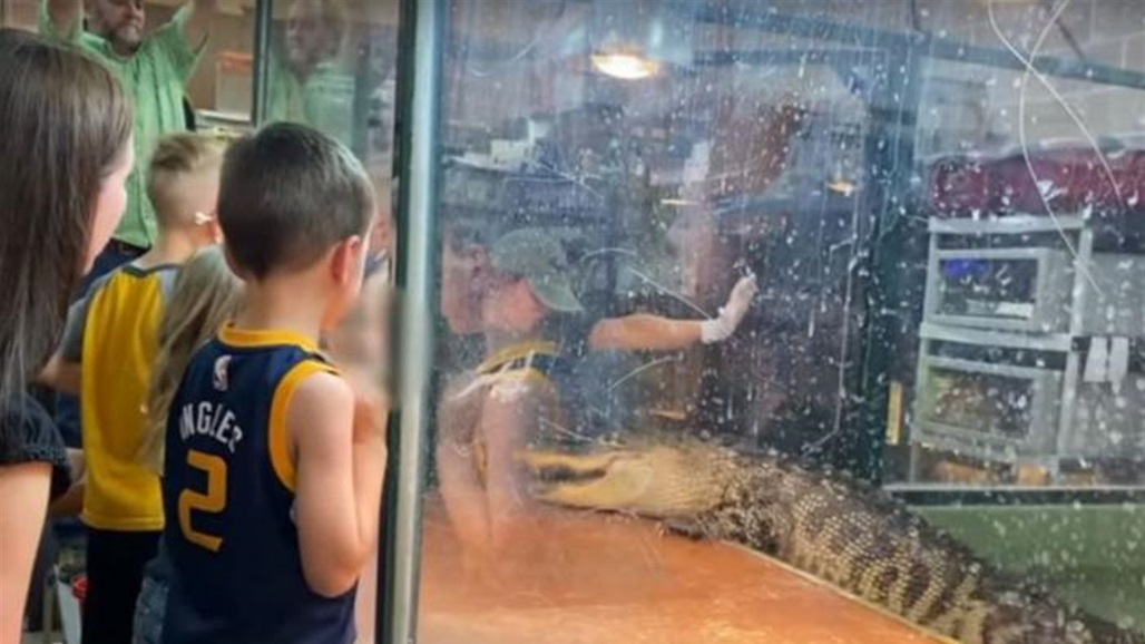 فيديو مروع... تمساح ينقض على فتاة أمام أعين الأطفال