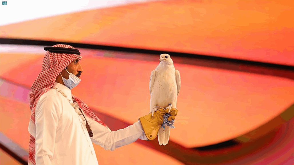 السعودية.. بيع صقر بنحو نصف مليون دولار خلال مزاد علني