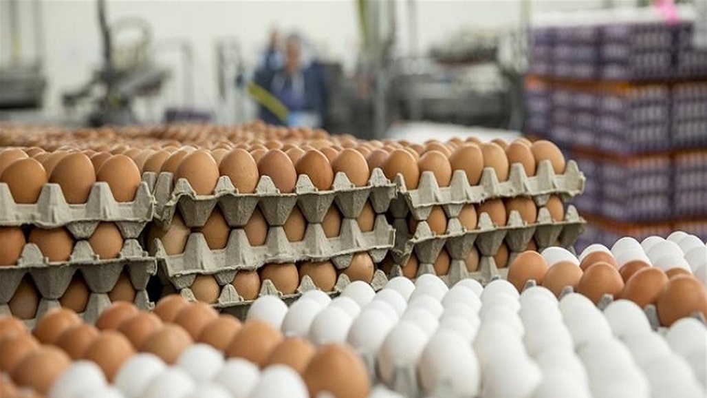 قرار جديد من وزارة الزراعة بشأن بيض المائدة 