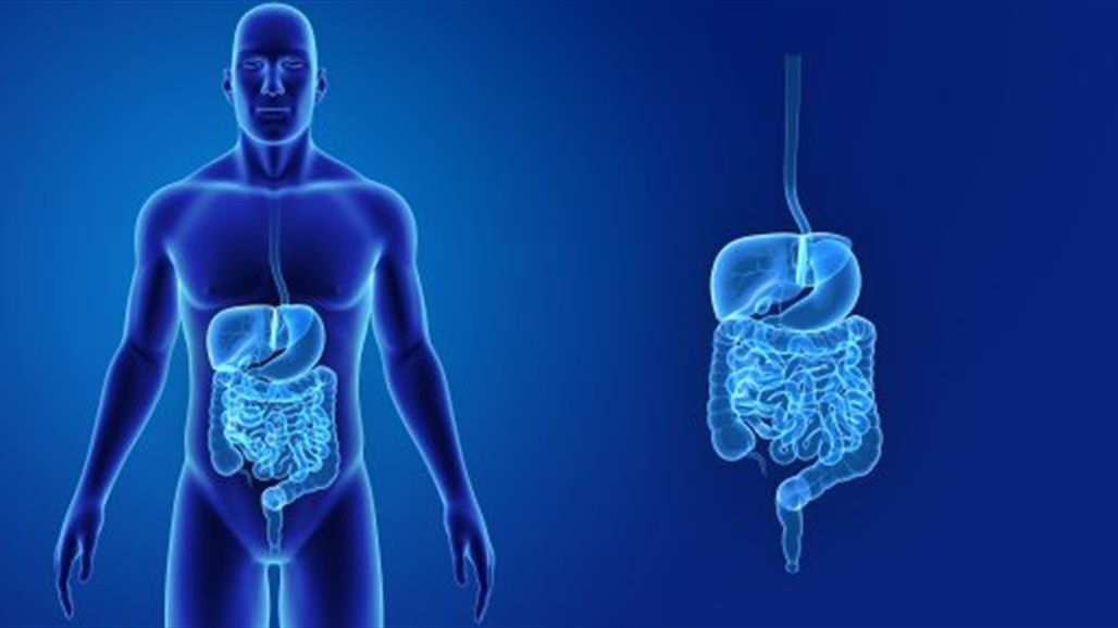 علماء يكتشفون مفاجأة داخل أمعاء الإنسان!