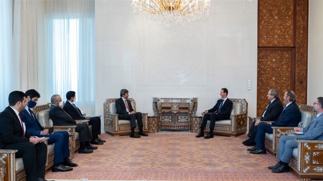 التقى الأسد.. وزير خارجية الإمارات: أحداث سوريا أثرت على كل الدول العربية