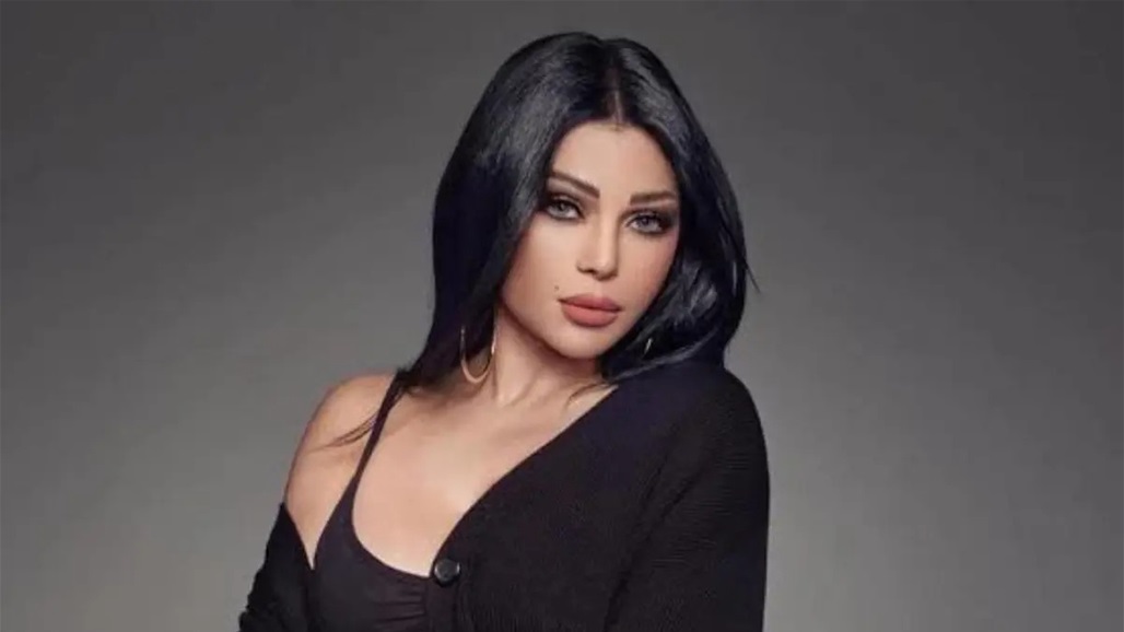 الحكم بالسجن على محمد وزيري في قضية "خيانة أمانة" هيفاء وهبي