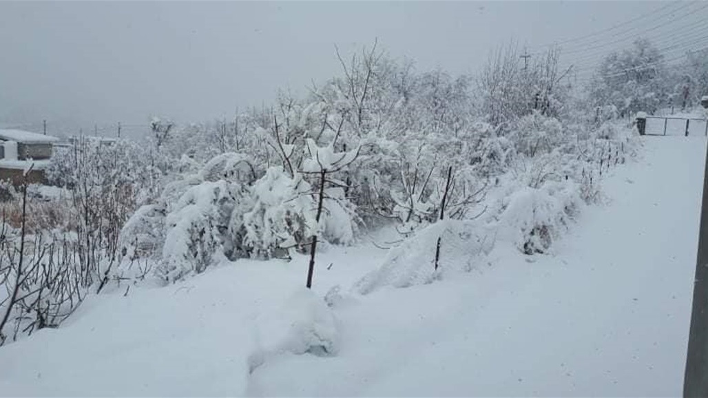 بالفيديو.. ثلوج كثيفة في دهوك تدفع السلطات الى استخدام الجرافات