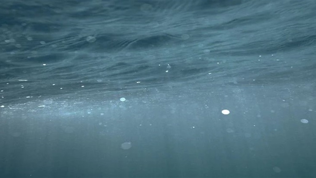 اكتشاف كائنات دقيقة تنتج الأوكسجين بمفردها دون الحاجة إلى الشمس!