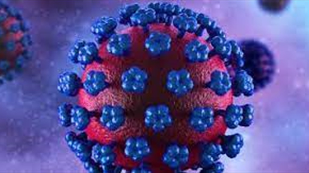 دولة اوروبية تسجل اول حالة وفاة نتيجة فيروس "لاسا"