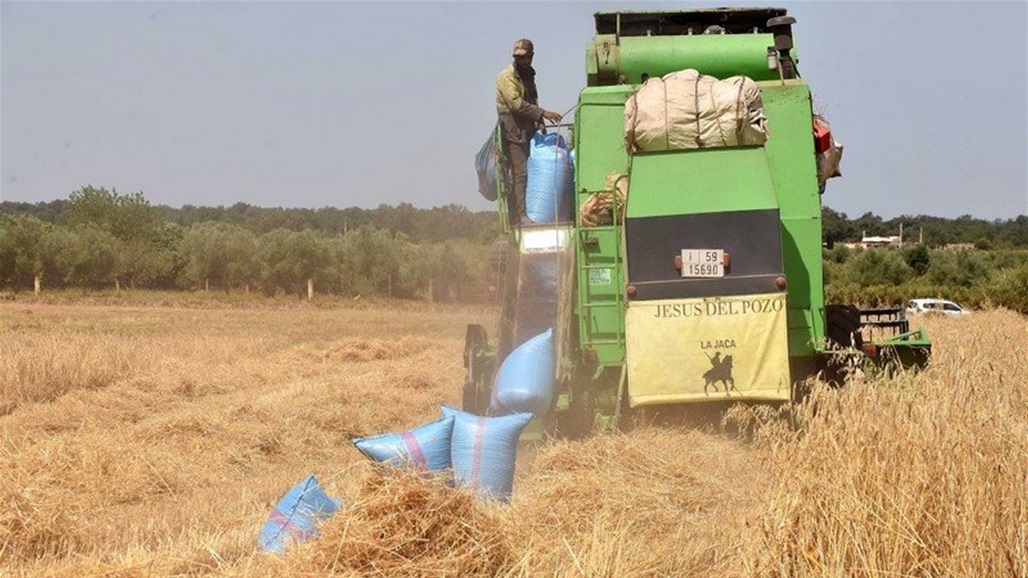 دولة عربية تدخل معركة الأمن الغذائي 