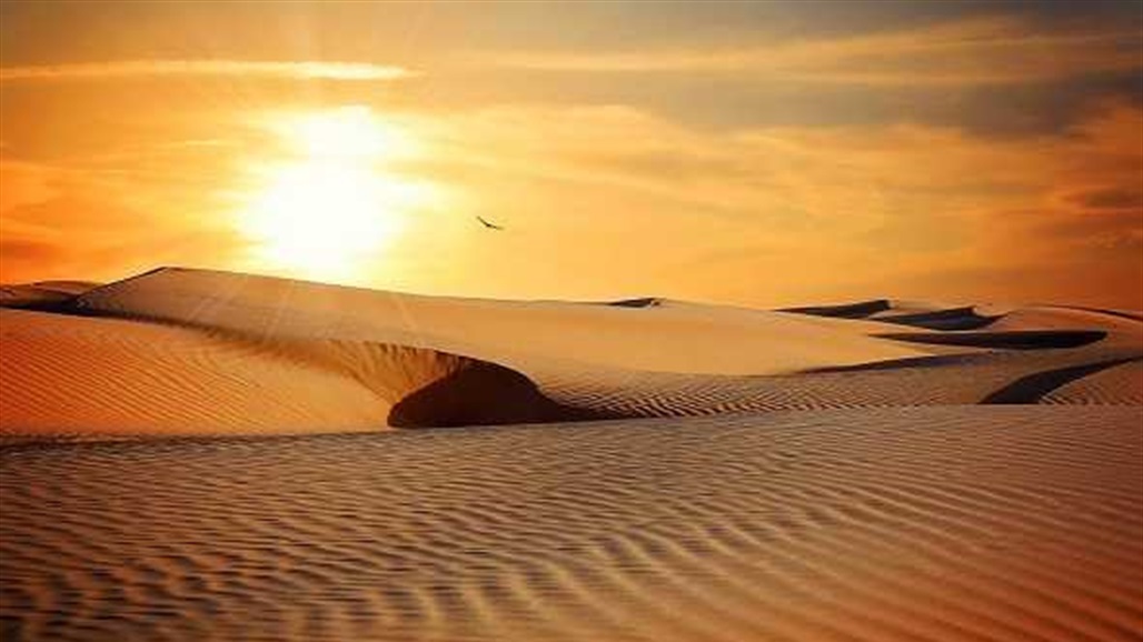 ‏نجاة 3 سعوديين من الموت عطشًا في صحراء محلية كبرى