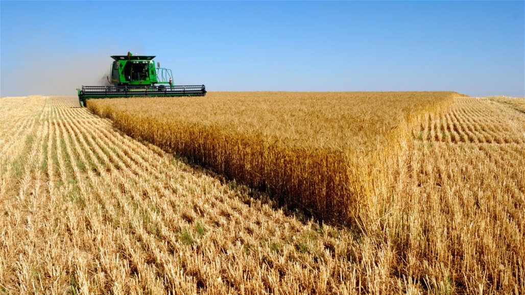46 مليون طن.. صادرات أوكرانيا من الحبوب هذا الموسم