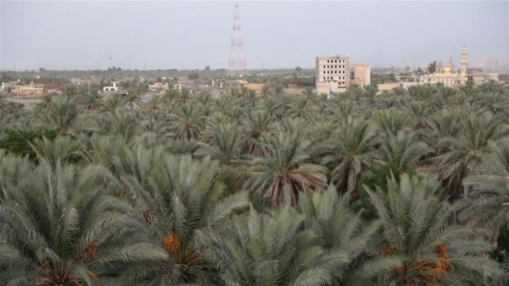 محافظة عراقية توجه بالإسراع في إنجاز مشروع الأحزمة الخضراء