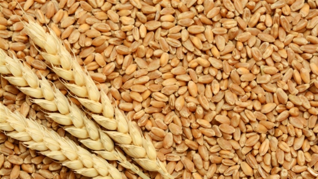 قرار جديد من الهند بشأن تصدير القمح 