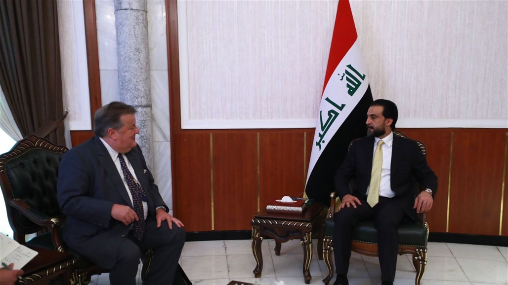 الحلبوسي يبحث مع معهد القانون الدولي ملف الاختفاء القسري