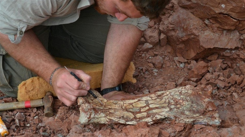 بحجم باص مدرسة... اكتشاف "تنين الموت" (صور)
