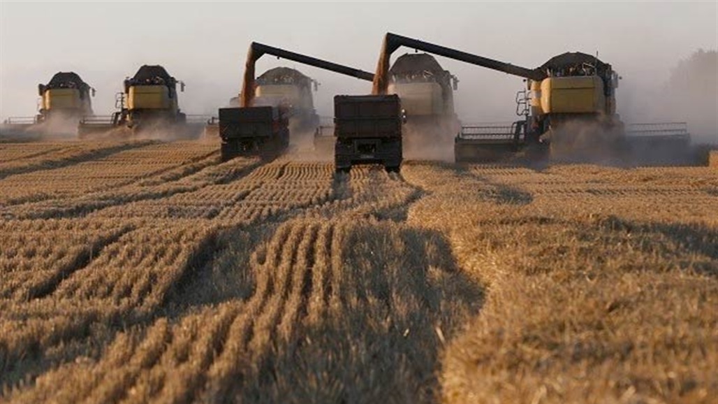 روسيا توضح بشأن إمكانية تصدير الحبوب من الموانئ التي تسيّطر عليها