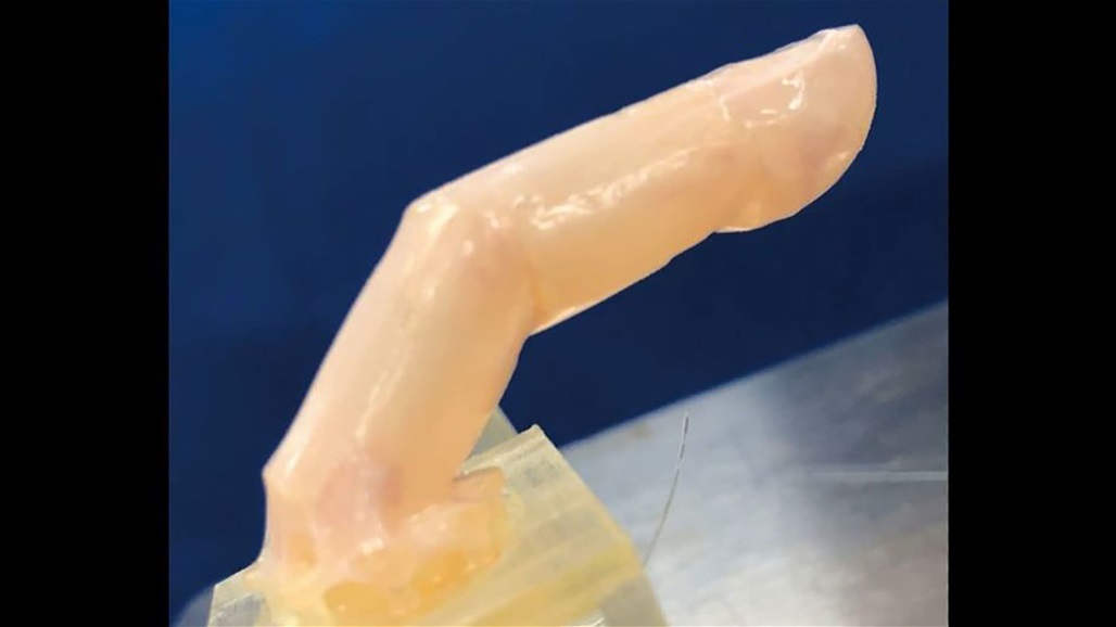 لأول مرة في العالم.. اليابان تطوّر روبوتاً بـ "جلد حي"