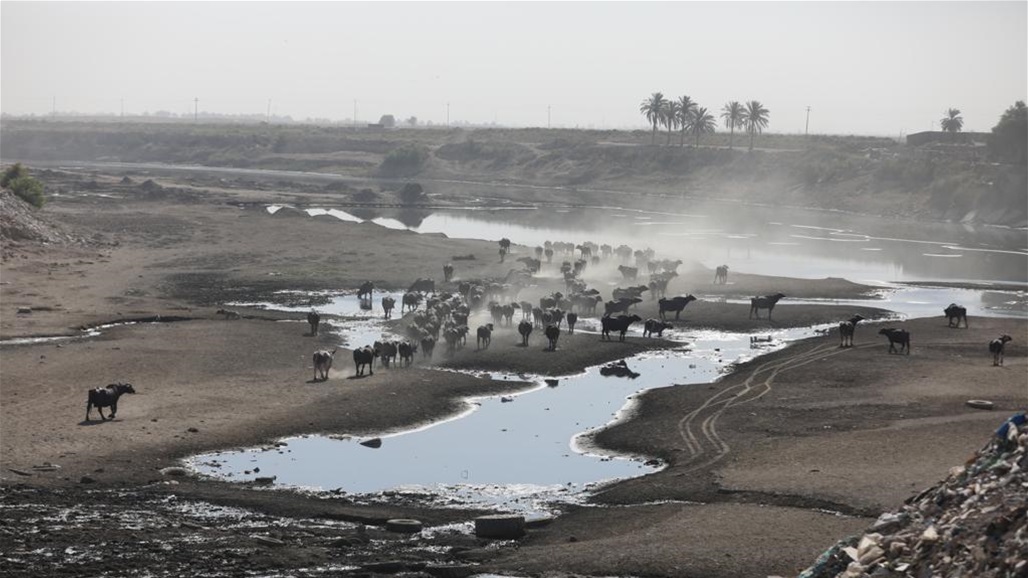 الجفاف يبتلع خامس روافد دجلة ويخرجه عن الخدمة.. نهر ديالى وقصة الاحتضار عطشاً (فيديو)