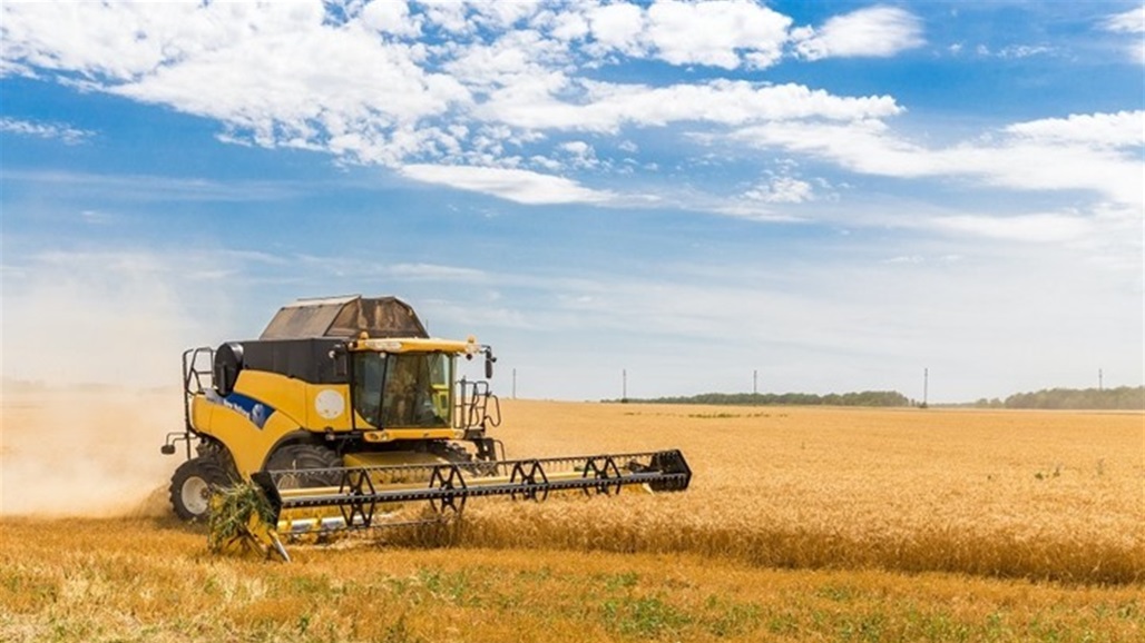 التايمز: محنة مزارعي القمح في أوكرانيا تنذر بمجاعة عالمية