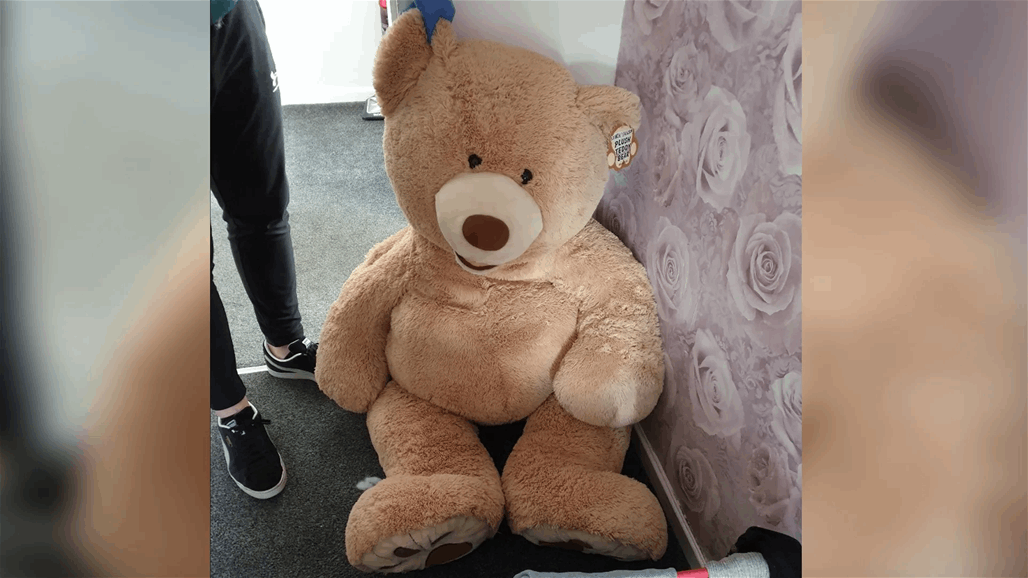 القبض على دمية دب تتنفس في أنكلترا.. "سجن 9 أشهر"