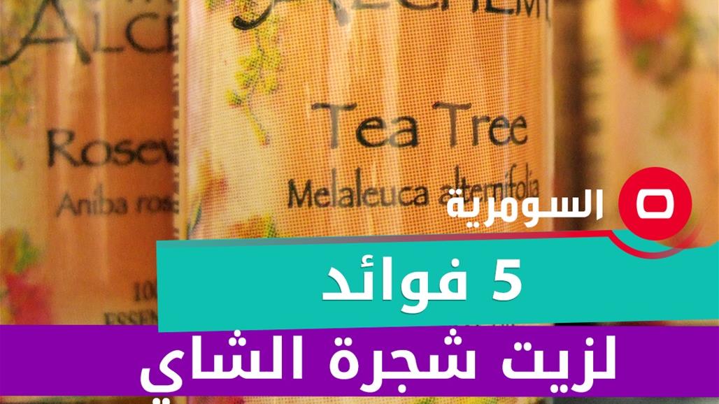 بينها يعزز نضارة البشرة.. 5 فوائد لزيت شجرة الشاي