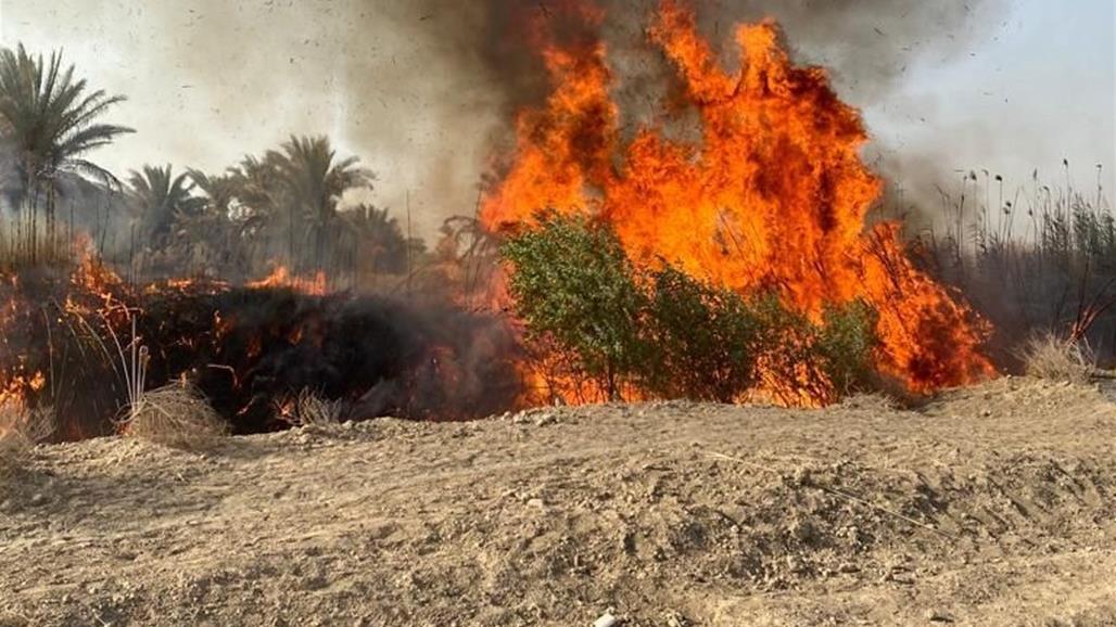 تدمير وكر للإرهابيين والعثور على مواد متفجرة في بابل (صور)