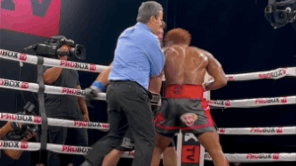 حكم يتلقى ضربة قوية من أحد الملاكمين بدلا من الخصم (فيديو)