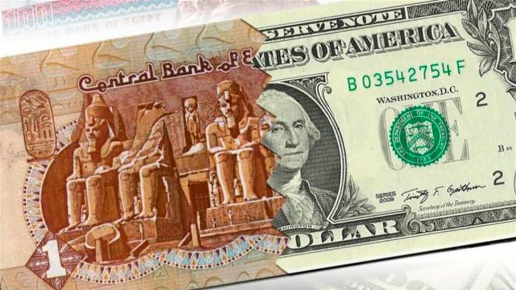 الدولار يستقر قرب أعلى مستوياته تاريخيا في مصر
