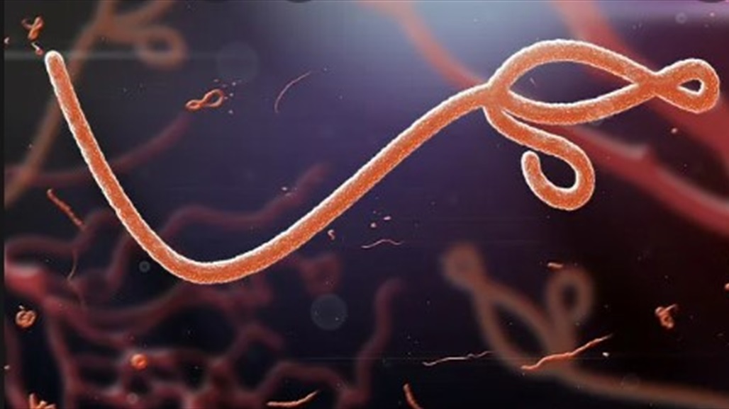 فيروس جديد قاتل.. علماء يحذرون من الجائحة القادمة